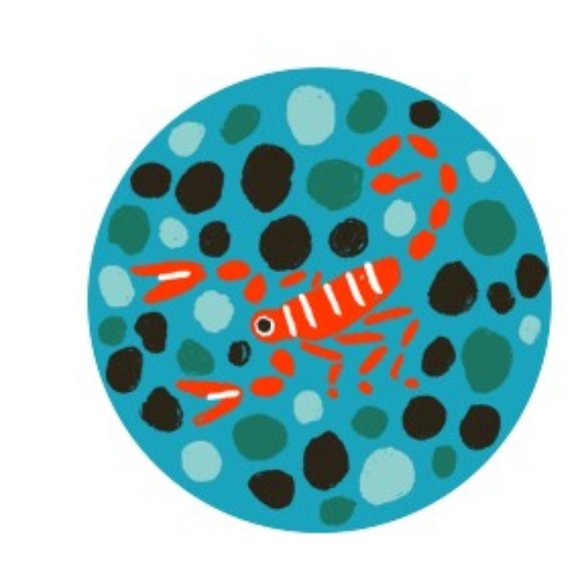 Meet your Posher - Picture 4 of 9